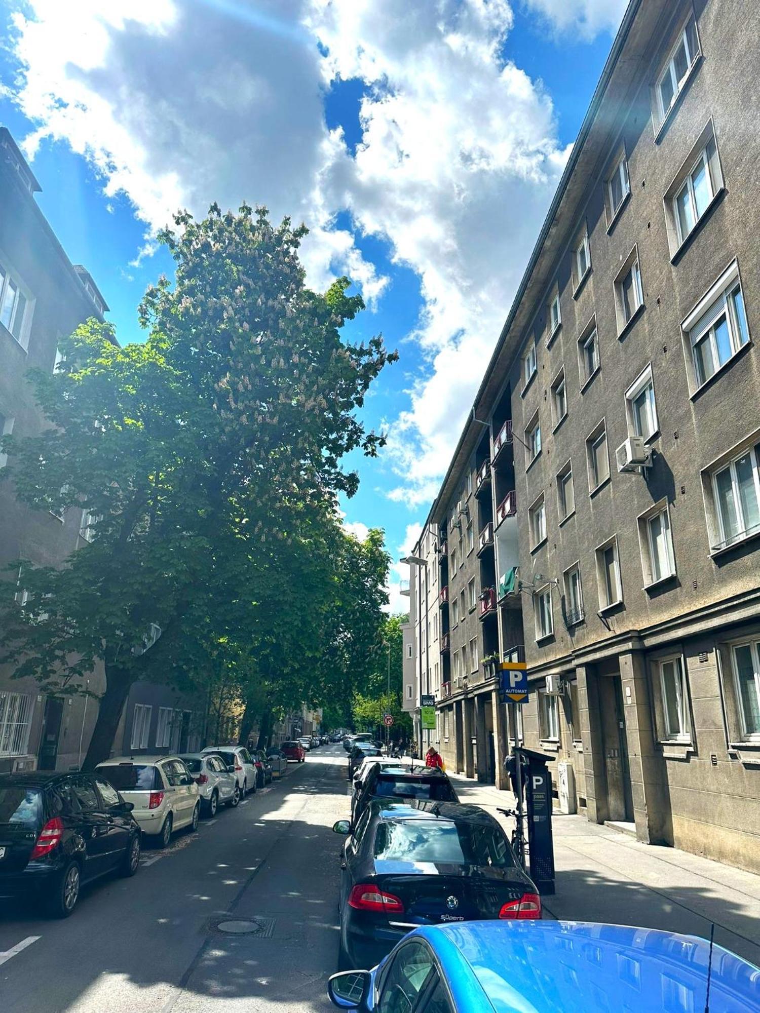 ברטיסלאבה Apartment Helen - Old Town, Ac מראה חיצוני תמונה